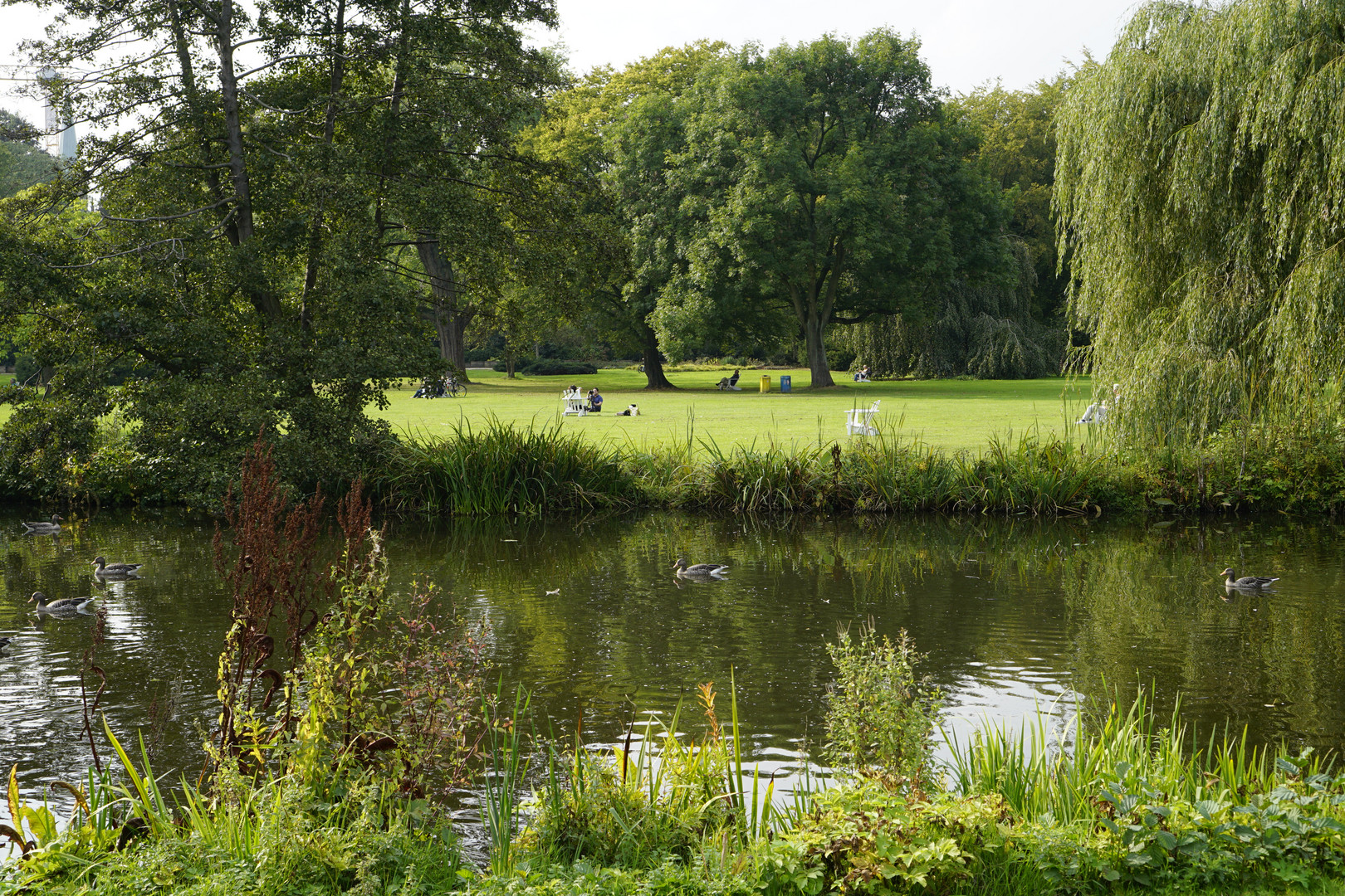 EINFACH NUR - SCHÖNES HAMBURG - ALSTERPARK 29.09.2014