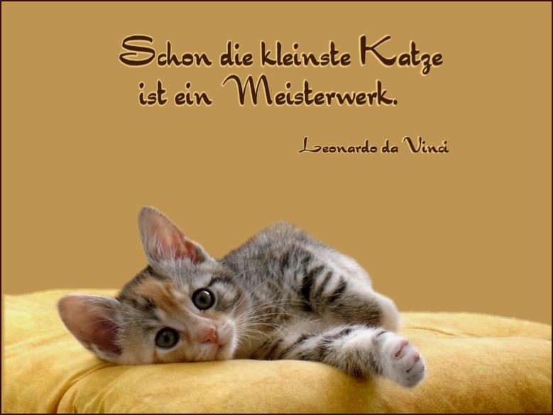 Einfach nur so....