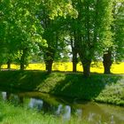 Einfach nur Sommer