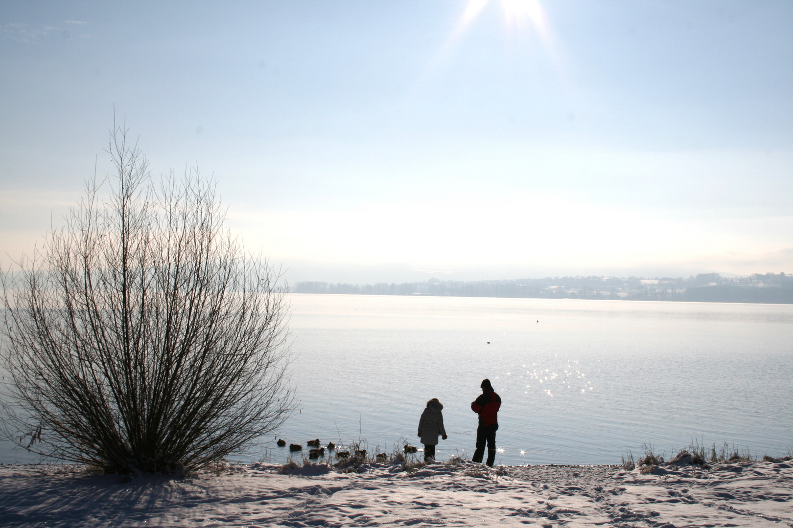 Einfach nur Sonne tanken