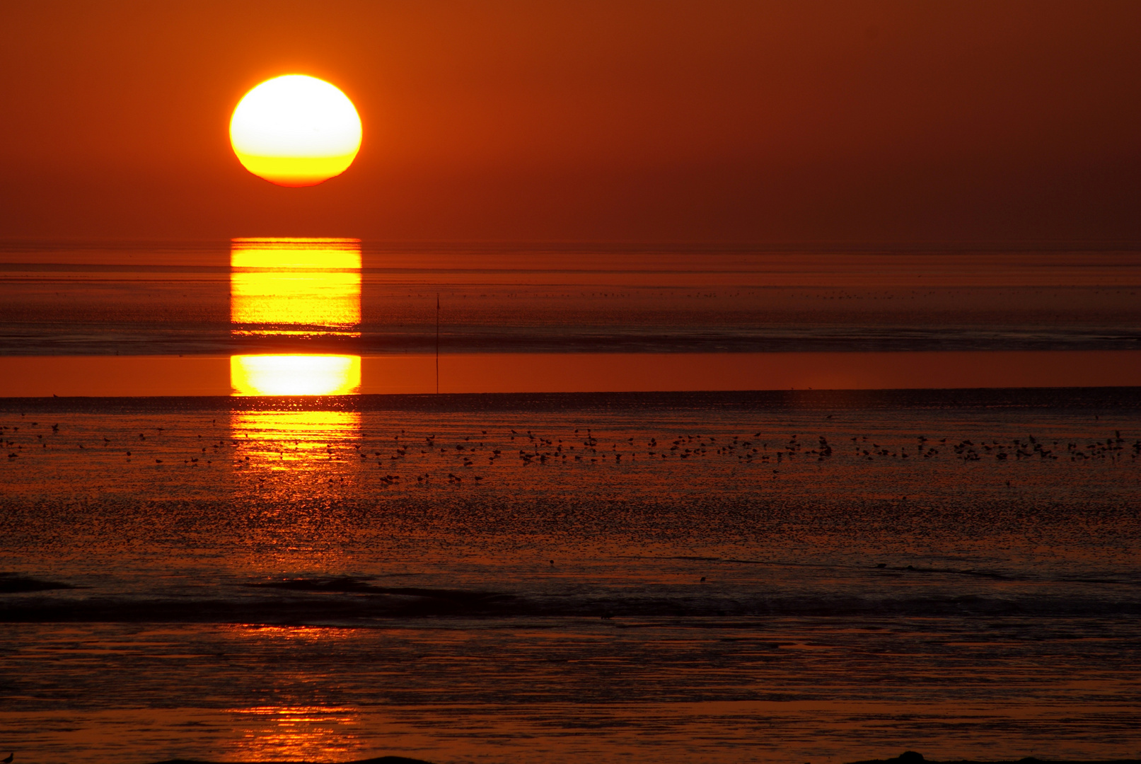 Einfach nur Sonnenuntergang