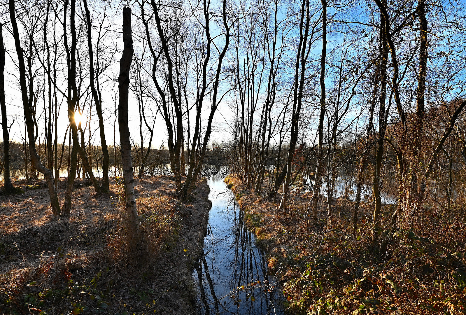 Einfach nur Stille im Moor