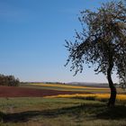 Einfach nur Thüringen