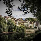 einfach nur Tübingen von der schönsten Seite