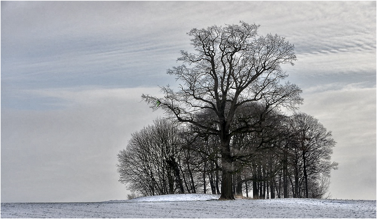 ... einfach nur weiss ...