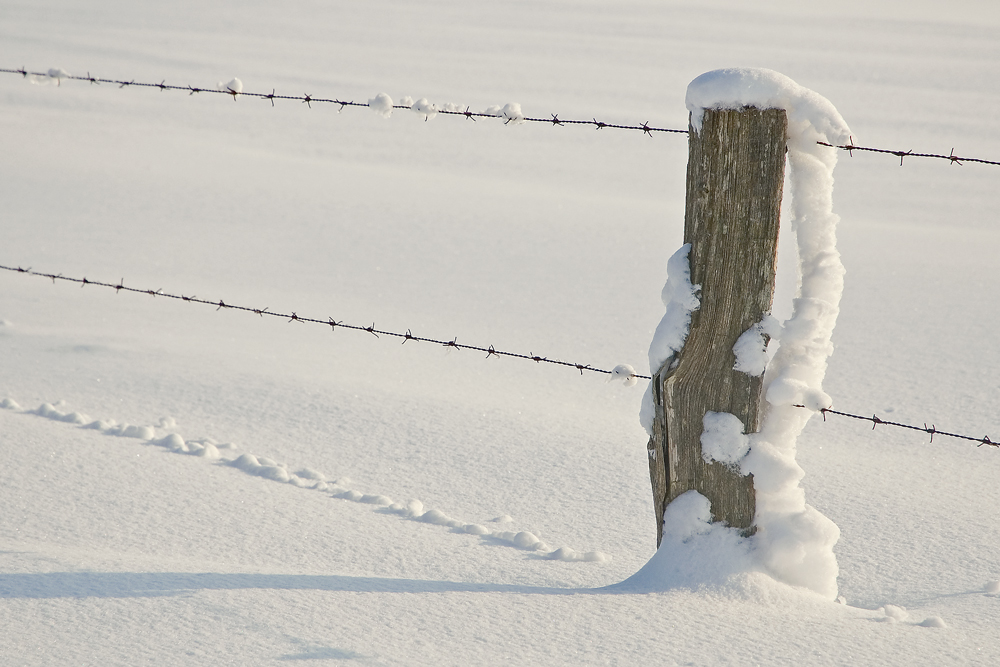 einfach nur Winter