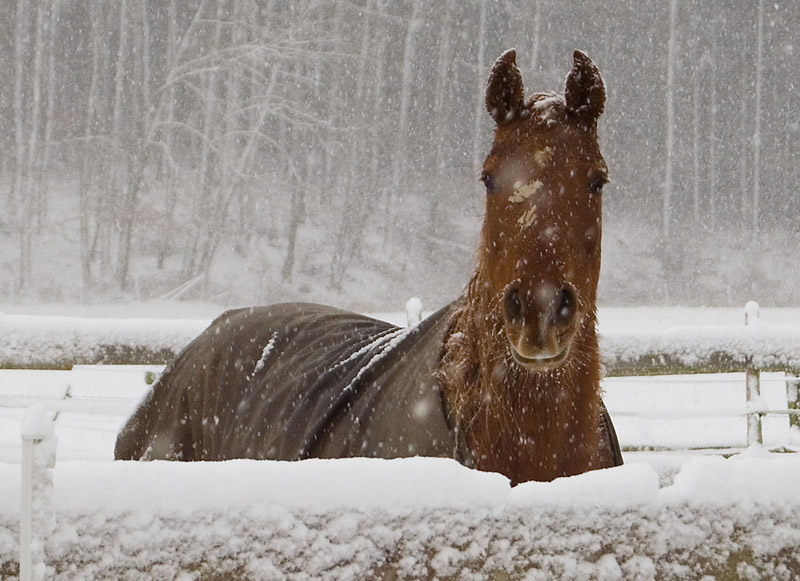 Einfach nur Winter...