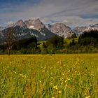 einfach Pinzgau