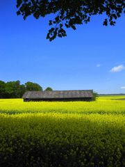 Einfach Schleswig-Holstein