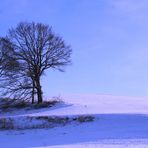 einfach schön der winter