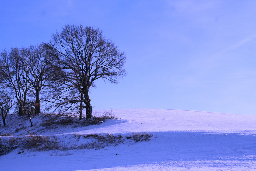 einfach schön der winter