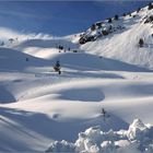 Einfach schön, so im Schnee zu wandeln...