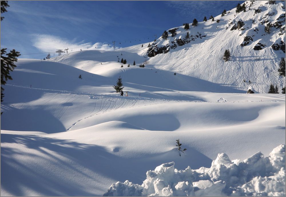 Einfach schön, so im Schnee zu wandeln...