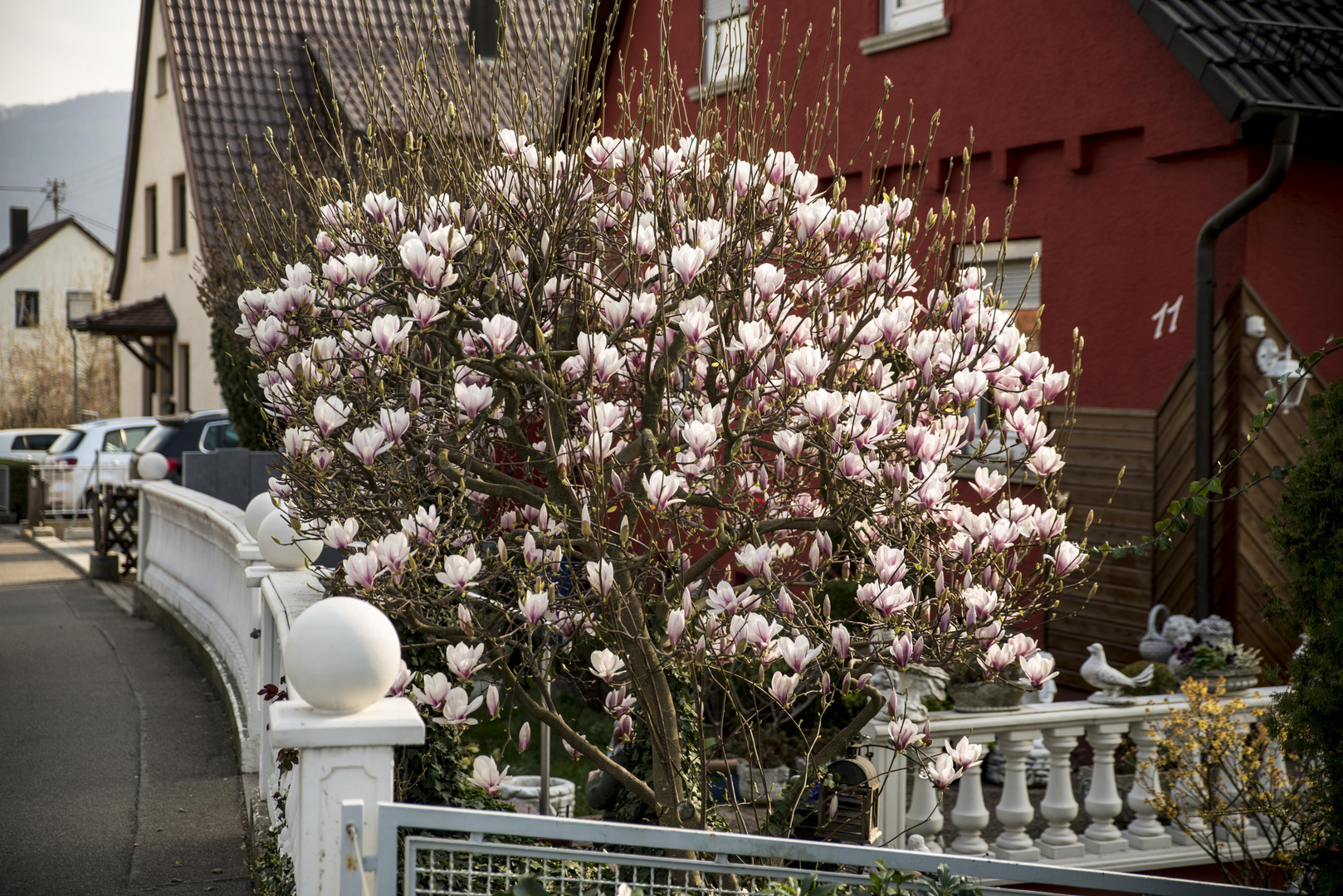 einfach schön und typisch für den Frühling ...