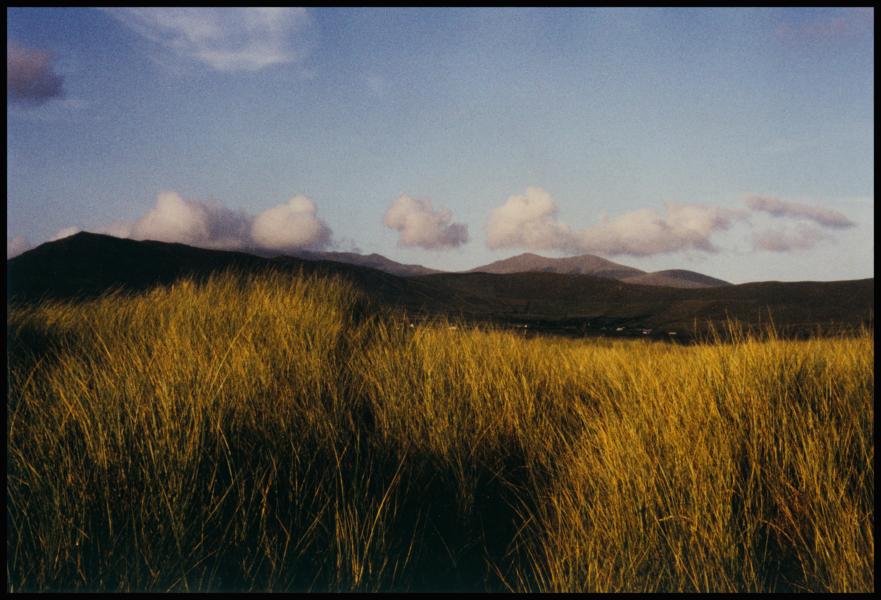 Einfach so, ein Irlandfoto