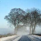 Einfach so Straße