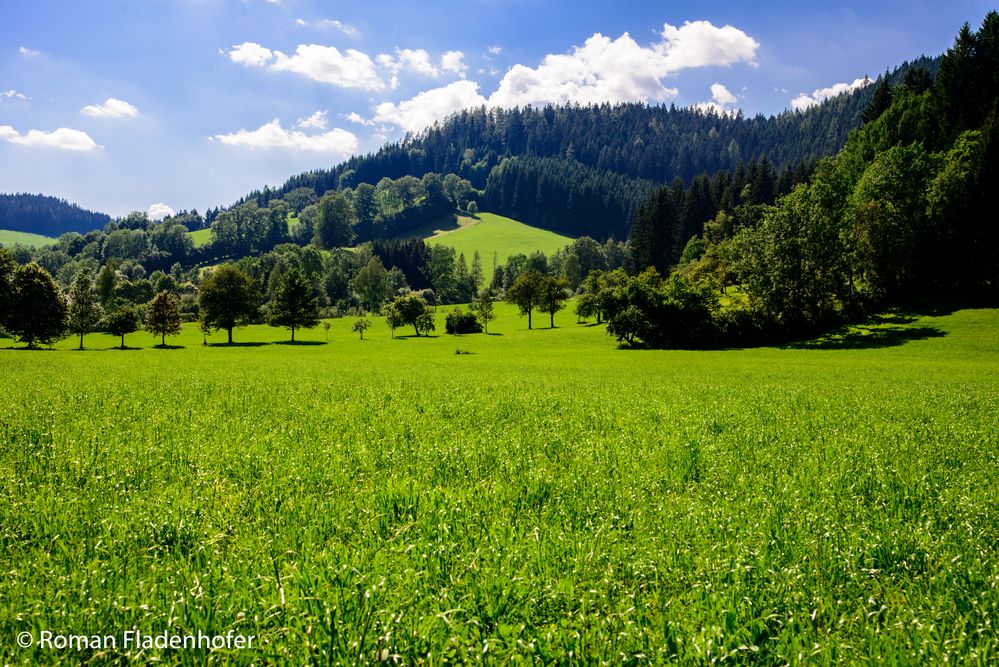 Einfach Sommer