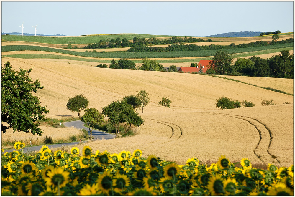 Einfach Sommer