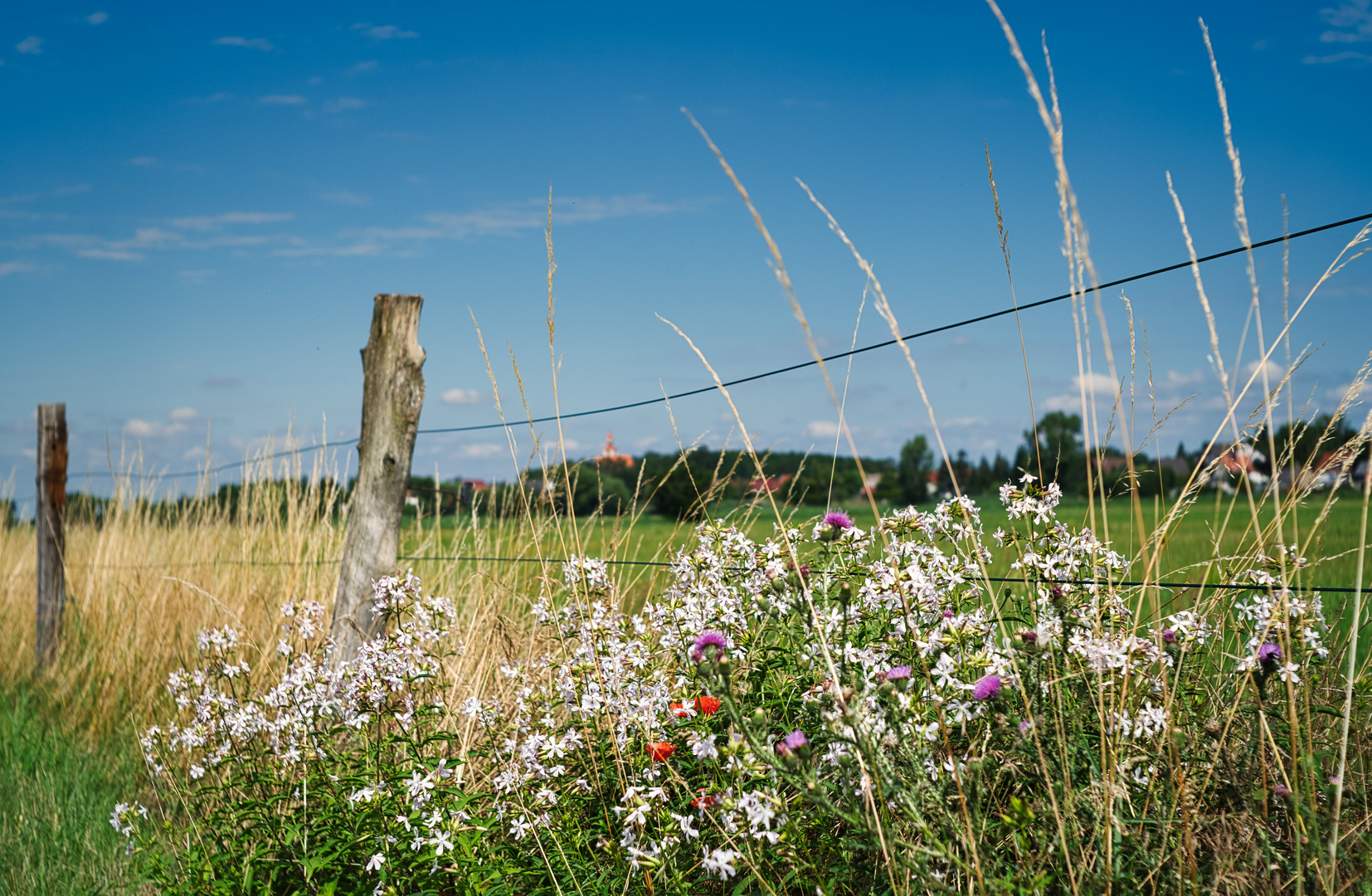 Einfach Sommer