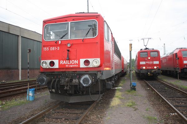 Einfach Stark und Schön