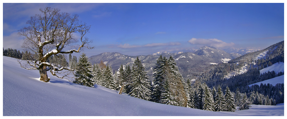 einfach viel Schnee !!!