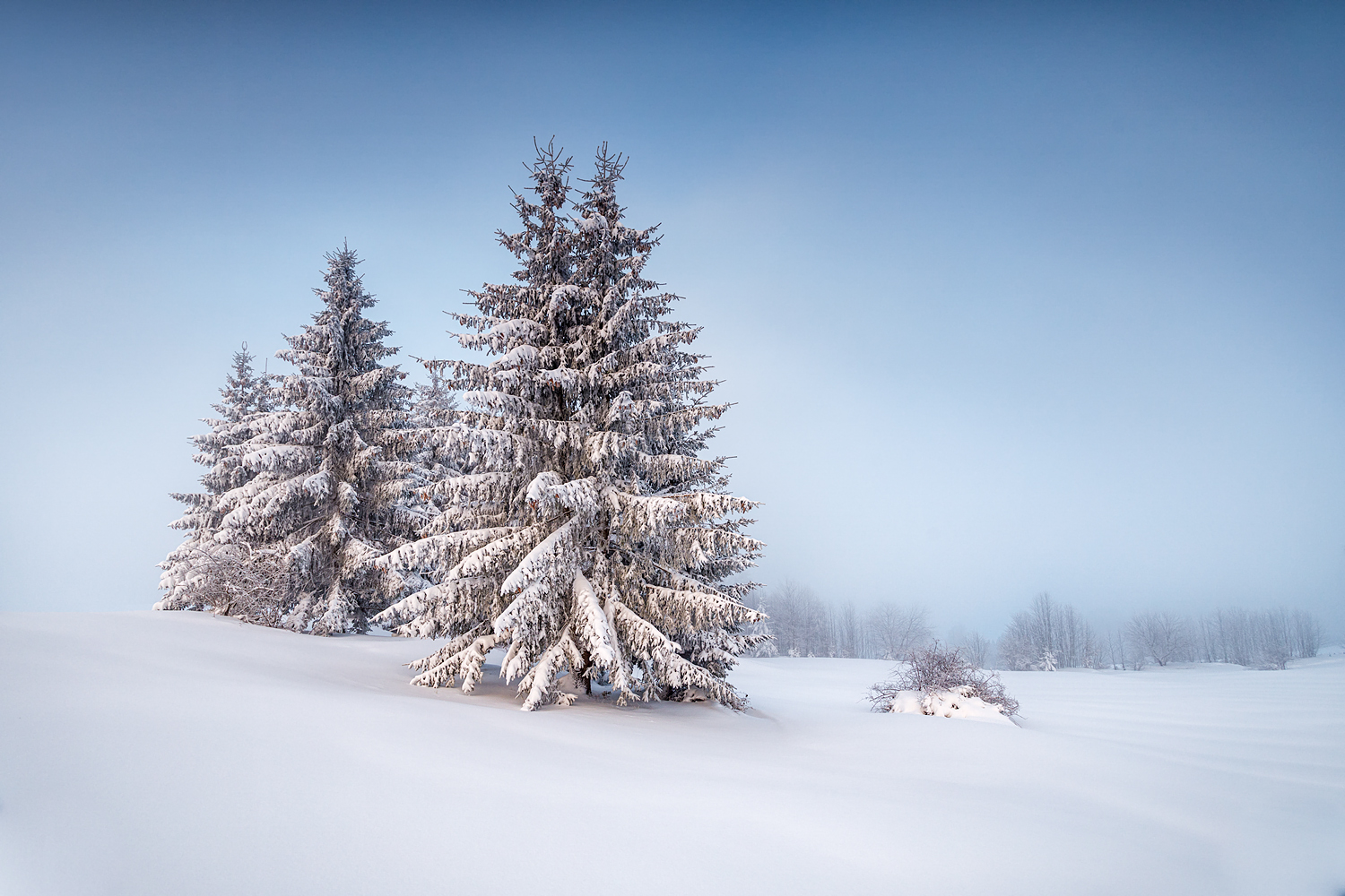 einfach winter