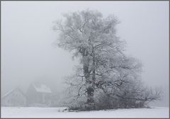 Einfach Winter