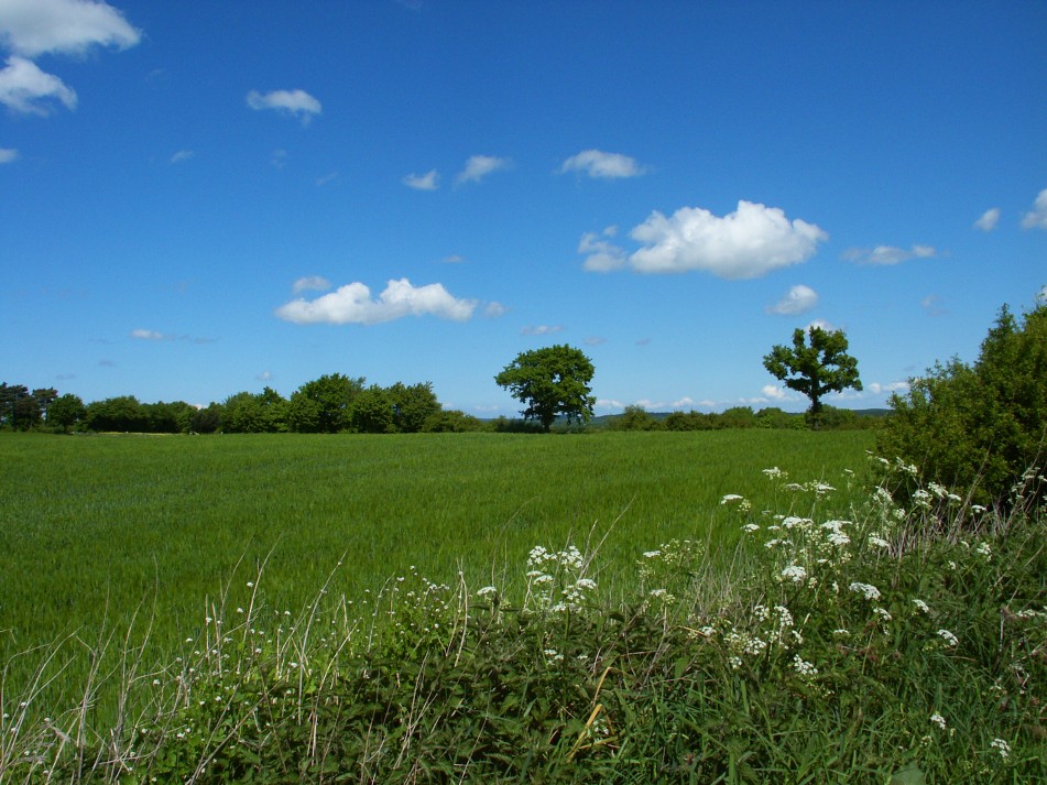 Einfache Landschaft