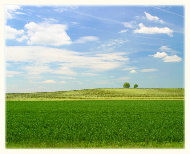 einfache Landschaft