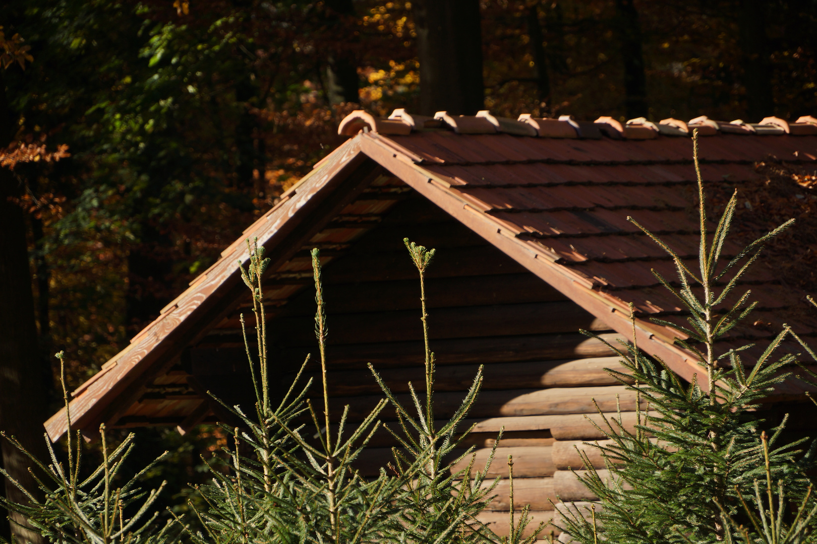 Einfache Waldhütte