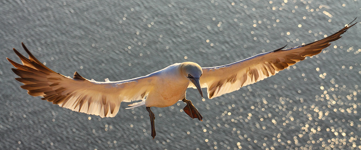 Einfacher Anflug