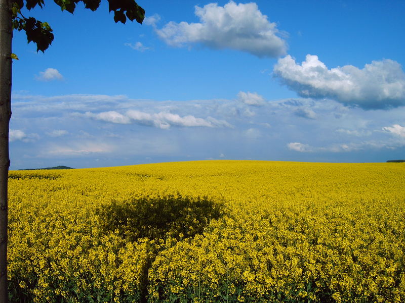 EinfachSommer