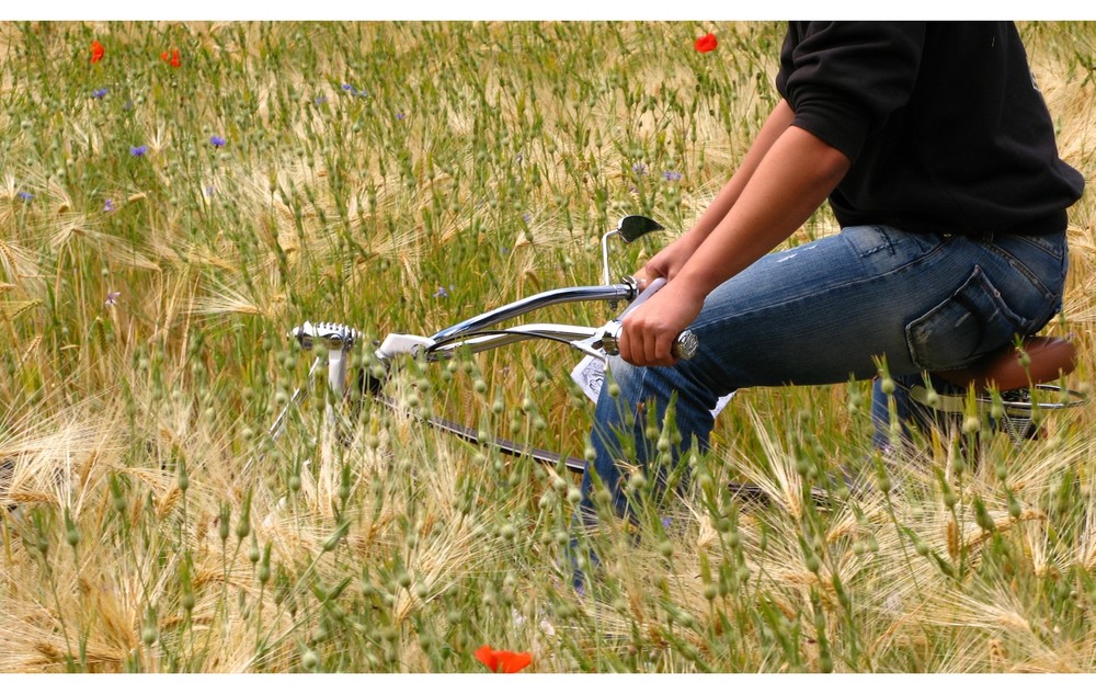 EinFahrrad im Kornfeld