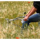 EinFahrrad im Kornfeld