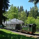 Einfahrt am Bahnhof Loreleifelsen