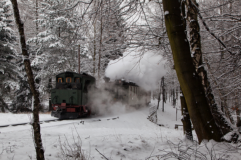 Einfahrt Bahnhof Bertsdorf