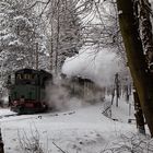 Einfahrt Bahnhof Bertsdorf