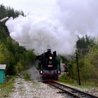 Einfahrt Bahnhof Cvetino (BDZ)