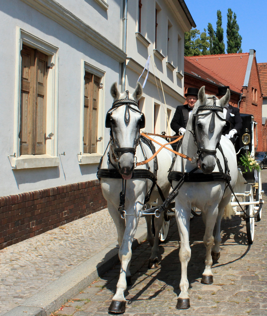 Einfahrt der Hochzeitskutsche 1