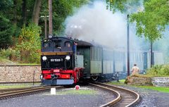 Einfahrt der Preßnitztalbahn in Steinbach.