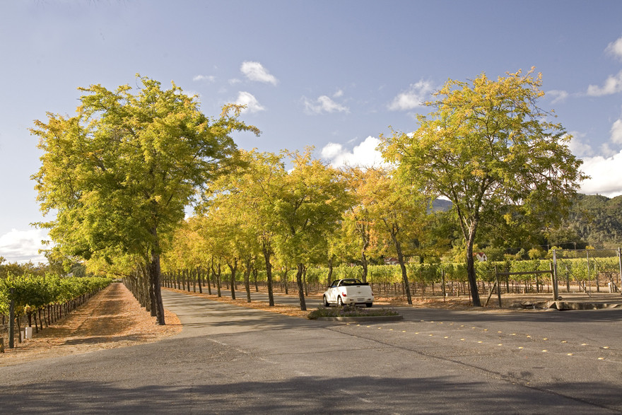 Einfahrt eines Weingutes im Napa Valley