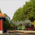 Einfahrt im Bahnhof Seifersdorf…,