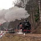 Einfahrt in den Bahnhof Kurort Kipsdorf