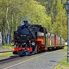 Einfahrt in den Bahnhof Oybin