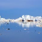 Einfahrt in den Kangia Eisfjord