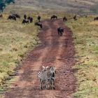 Einfahrt in den NgoroNgoro-Krater