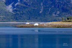 Einfahrt in die Glacier-Bay