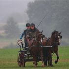 Einfahrt ins Hindernis