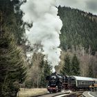 Einfahrt Kopfbahnhof Katzhütte