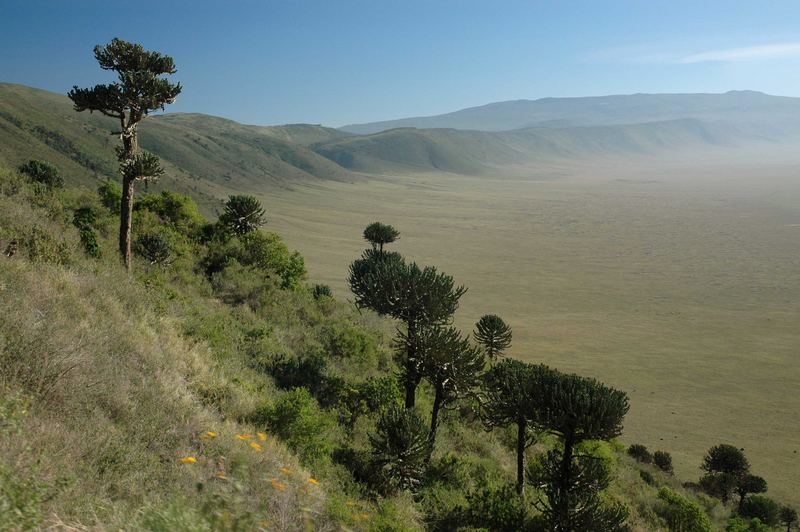 Einfahrt - Ngorogoro Krater